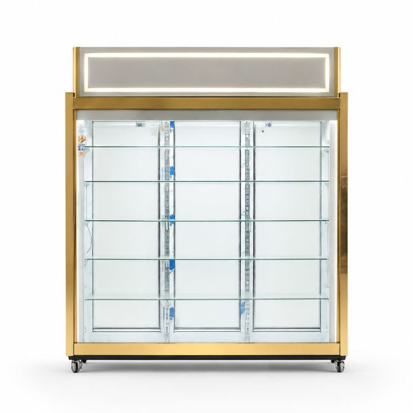 یخچال صنعتی سه درب ویترینی دیوژن